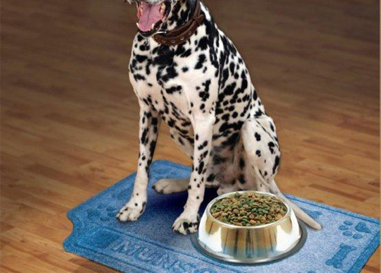 Paw & Bones Dog Bowl Personalized Logo Mat