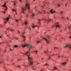 Pink Ibis