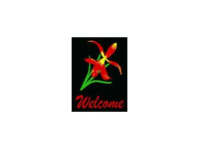 Andersen Computuft Greeting MessageMat Floor Mat - Iris - Welcome - 3' x 4' - Commercial Message &amp; Graphic Mats
