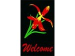 Andersen Computuft Greeting MessageMat Floor Mat - Iris - Welcome - 3' x 5' AM-CT-IRI-3X5