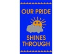 Andersen Classic Creations Motivational MessageMat Floor Mat - Our Pride Shines Through - 3' x 5' AM-OUR-3X5