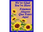 Andersen Digital Multi-Lingual Classic Impressions Greeting MessageMat Floor Mat - We're Glad You're Here - 3' x 4' AM-MLG-WER-3X4